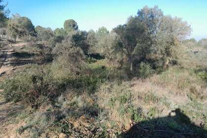 Grundstück/Finca zu verkaufen in Los Serranos, Almonte, Huelva. 