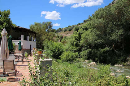 Ranch for sale in Ronda, Málaga. 