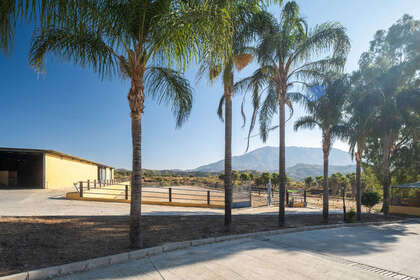 Ranch for sale in Mijas Costa, Málaga. 