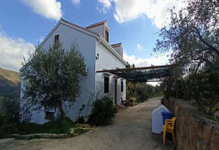 Farmy na prodej v Casarabonela, Málaga. 