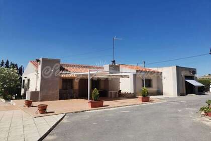 Maison de ville vendre en Yecla, Murcia. 