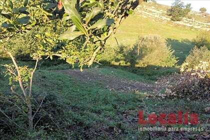 Plot for sale in Reocín, Cantabria. 