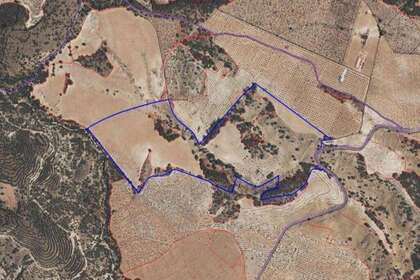 Rural/Agricultural land for sale in Lorca, Murcia. 
